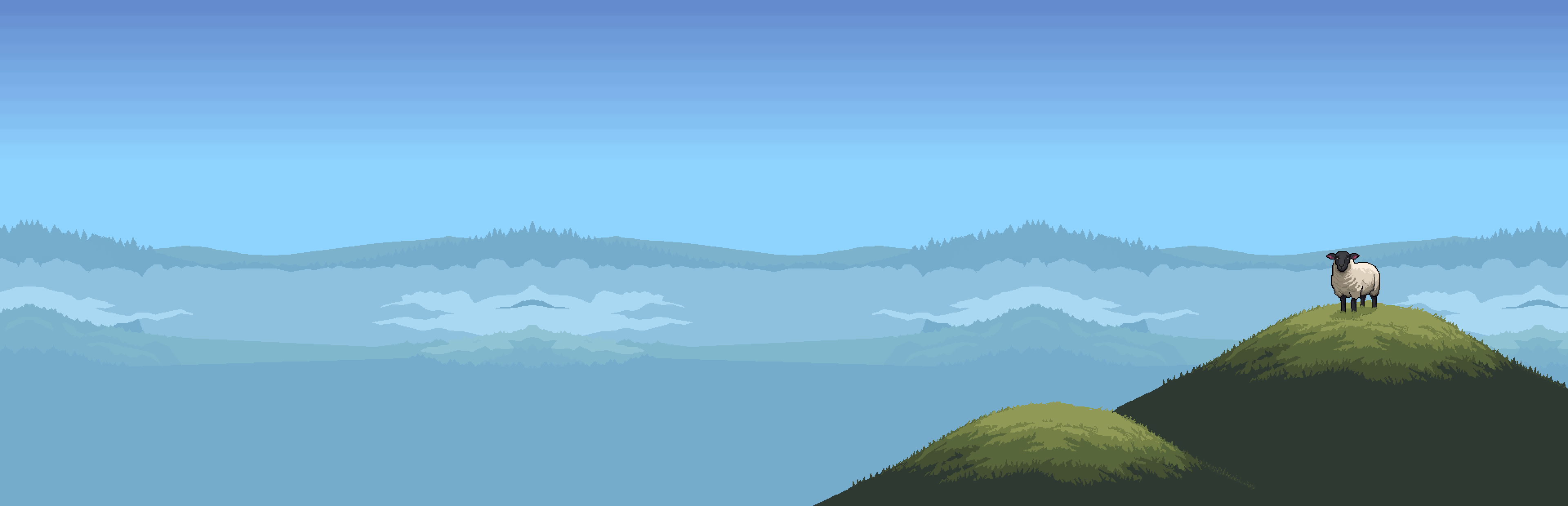 A lone sheep on a misty highland ridge