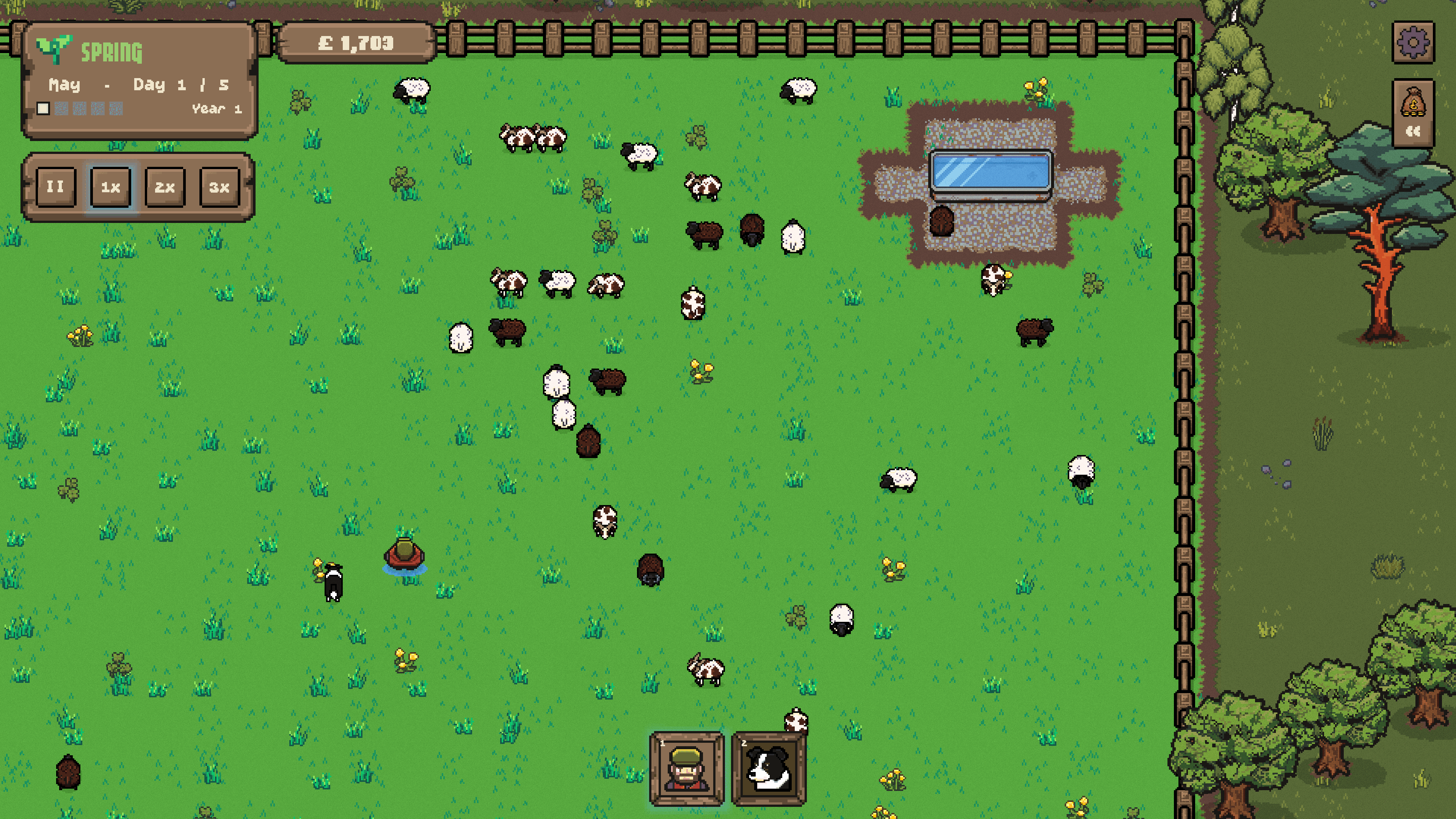 A flock grazing the field